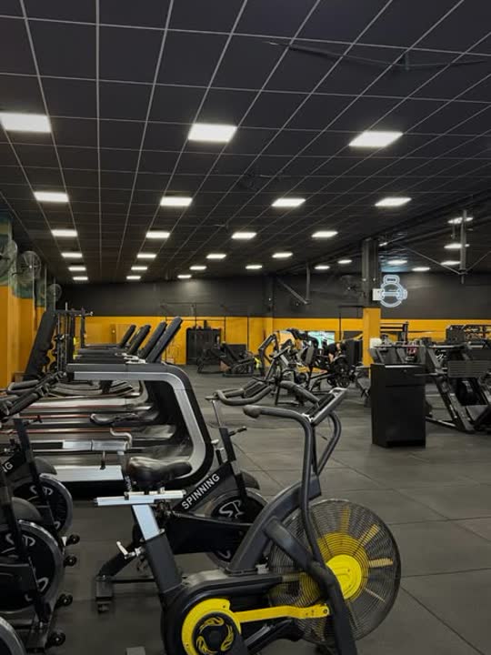Zona de cardio de la sede Cordón de Salvaje Life Fitness